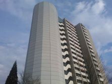 wasser-turm mit hochhaus und riesiger zypresse.jpg